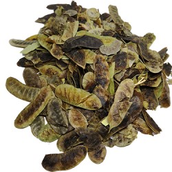 Devegözü/Açlık Otu
